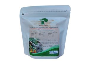 Set cà phê ủ lạnh túi lọc coldbrew